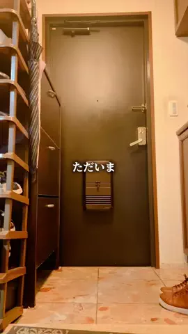 めんどくさがりキャンプ部部長| けーきゃんのTikTok投稿