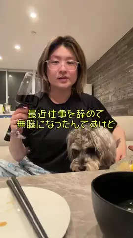酒好き嫁の日常🍺ｱｯﾈのTikTok投稿