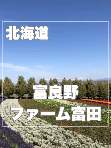 まんぷくオンニ｜ホテル旅のTikTok投稿
