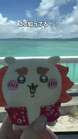 まんぷくオンニ｜ホテル旅のTikTok投稿