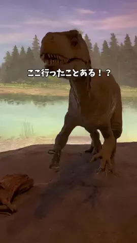 まんぷくオンニ｜ホテル旅のTikTok投稿