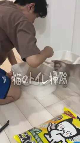 ルーナ🌛猫飼い夫婦のリアルな本音のTikTok投稿