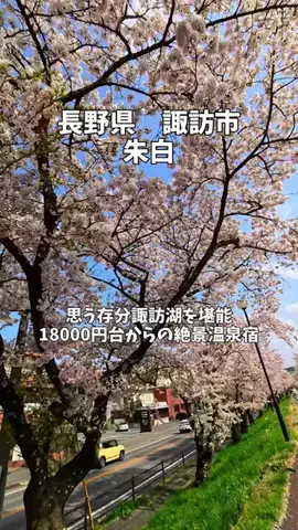 ポロ_身近なお出かけスポット紹介のTikTok投稿