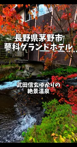 ポロ_身近なお出かけスポット紹介のTikTok投稿