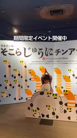 りゅうたびのTikTok投稿