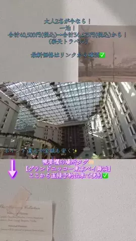 Hi_Na_NoのTikTok投稿