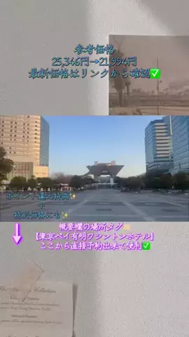Hi_Na_NoのTikTok投稿