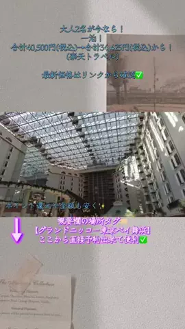 Hi_Na_NoのTikTok投稿