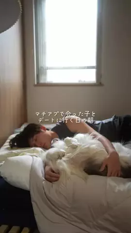 まさ” ボーダーコリーとふたり暮らし”のTikTok投稿