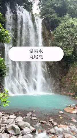 yotsubaのTikTok投稿