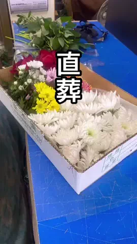 yotsubaのTikTok投稿