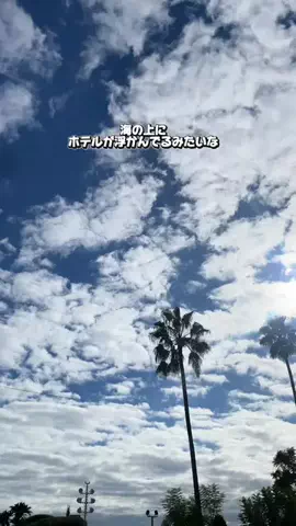 かのん様🐰🎀 ホテルヤドカリ女王様🐚👑のTikTok投稿