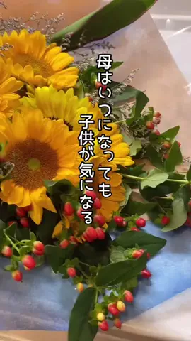 yotsubaのTikTok投稿