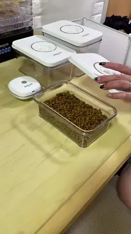 クレシアちゃんねる🐾のTikTok投稿