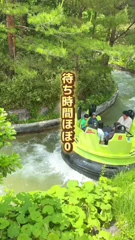 りゅうたびのTikTok投稿