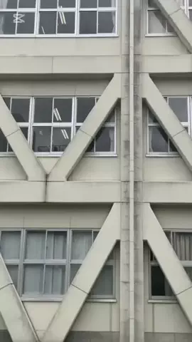 市邨高校PRゼミのTikTok投稿