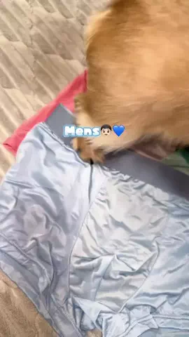 989🐶🐶のTikTok投稿