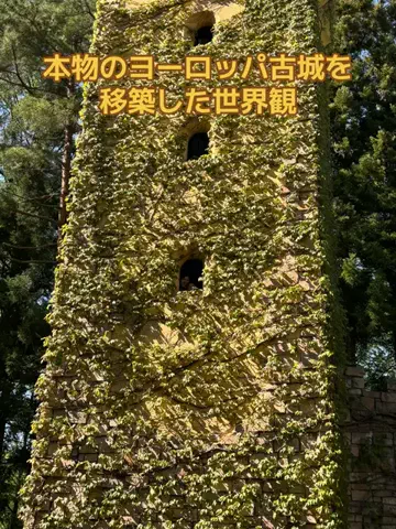 ポイけしき♨️宿図鑑のTikTok投稿