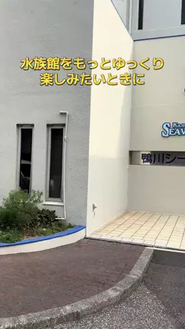 ポイけしき♨️宿図鑑のTikTok投稿