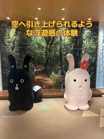 ポイけしき♨️宿図鑑のTikTok投稿