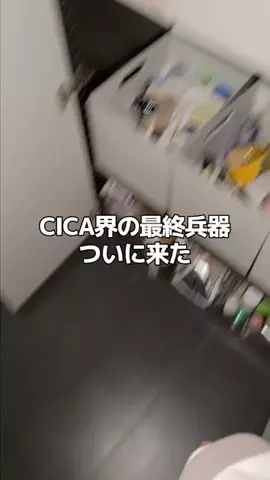 こすこんのTikTok投稿