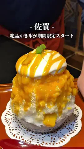 さがおいしいのTikTok投稿