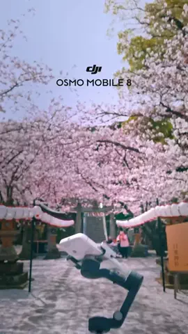 Reo🎥Travel Japan🇯🇵のTikTok投稿