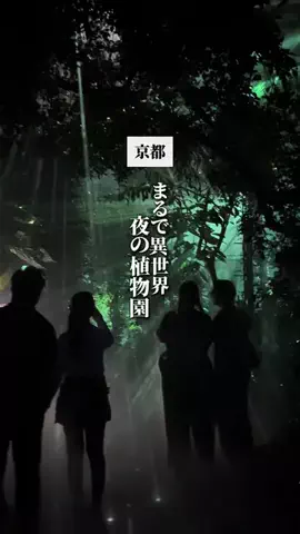 といまる｜京都のおしゃれデートのTikTok投稿