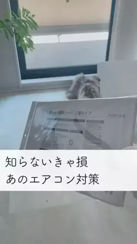 Jesse JesseのTikTok投稿