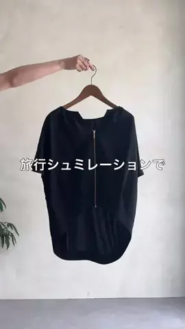 たなかのTikTok投稿