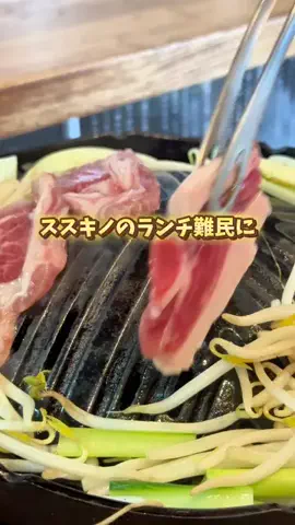 道産子MAYU旅日記のTikTok投稿