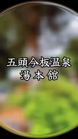 ぴーち まいけるのTikTok投稿