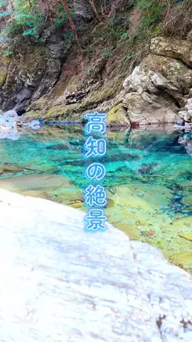 旅行大好き女子🐬🤍のTikTok投稿
