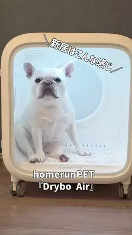 フレブルのやまわきさんのTikTok投稿