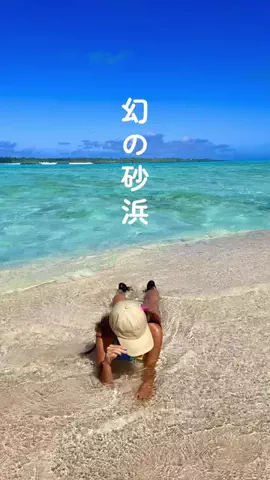 旅行大好き女子🐬🤍のTikTok投稿