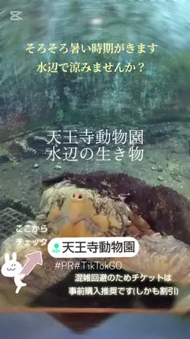kazamakizunaのTikTok投稿