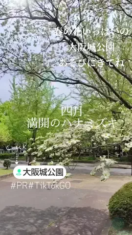 kazamakizunaのTikTok投稿