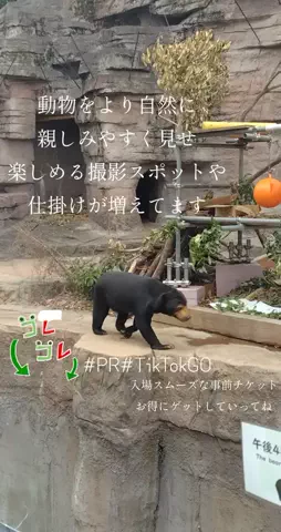 kazamakizunaのTikTok投稿