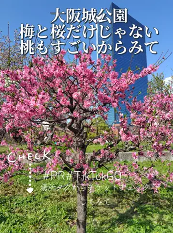 kazamakizunaのTikTok投稿