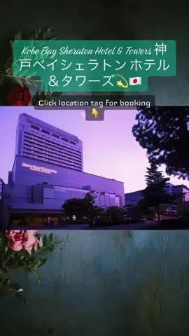 💕🇯🇵サヌ🇱🇰💕のTikTok投稿