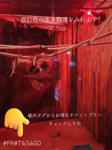 kazamakizunaのTikTok投稿