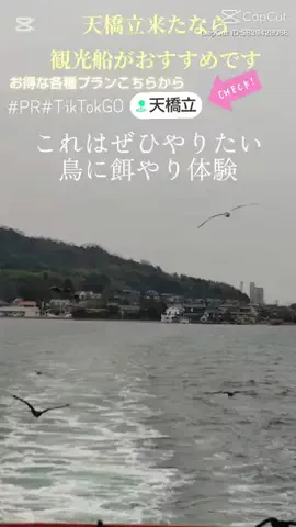 kazamakizunaのTikTok投稿