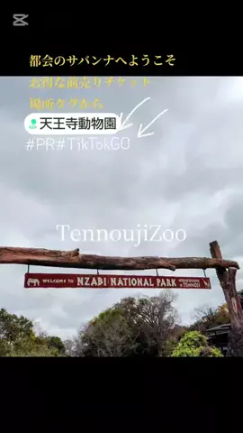 kazamakizunaのTikTok投稿