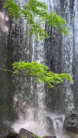 RKPhoto_9/ｱｰﾙｹｰﾌｫﾄﾅｲﾝ📷のTikTok投稿