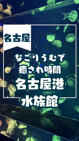 なのは｜名古屋おでかけ女子のTikTok投稿
