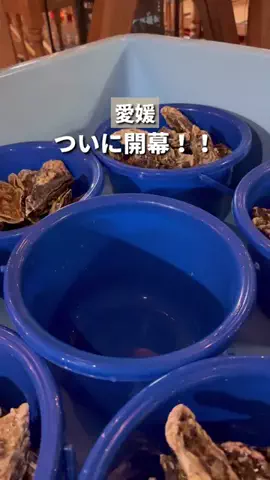ゆ ゆ ぶ🍴【愛媛グルメ】のTikTok投稿