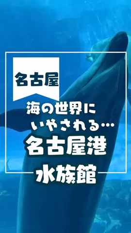 なのは｜名古屋おでかけ女子のTikTok投稿