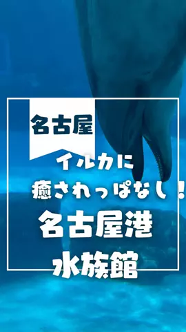 なのは｜名古屋おでかけ女子のTikTok投稿
