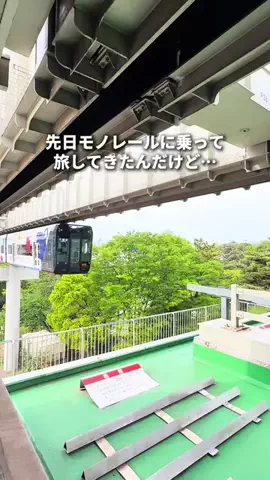mocoのおでかけ日記のTikTok投稿