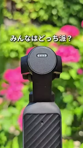 わら旅夫婦のTikTok投稿